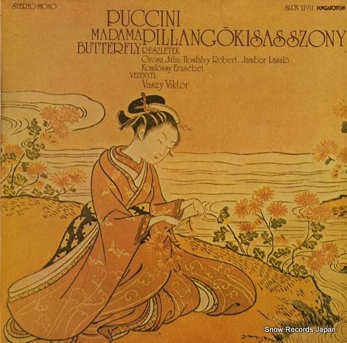 ヴィクトル・ヴァシー pucc