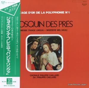 եåס䡼 祹󡦥ǡץ졧ߥ֥ѥ󥸥󥰥 REL-3218