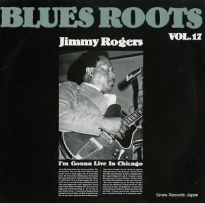 ߡ㡼 i'm gonna live in chicago 6.24807AG