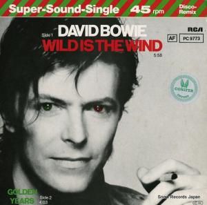 ǥӥåɡܥ wild is the wind PC9773