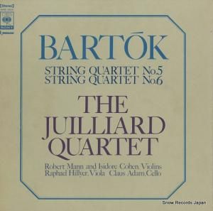 ꥢɸڻͽ Хȡڻͽն裵 SONC10125