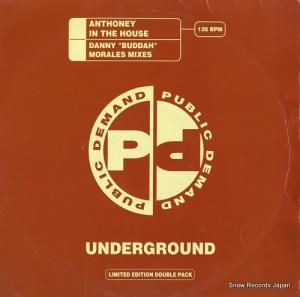 ANTHONEY in the house (danny "buddah" morales mixes) PPDT17