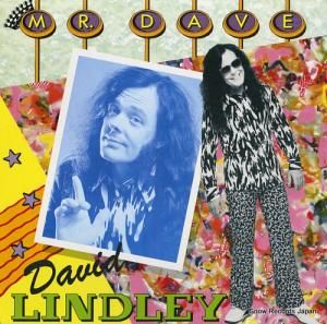 ǥåɡɥ졼 mr. dave 252161-1