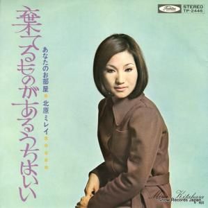 ̸ߥ쥤 ƤΤ뤦Ϥ TP-2446