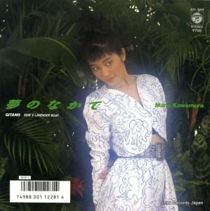 ¼ ̴ǡgitano AH-944