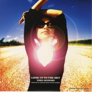 λ look up to the sky VIKL-10003