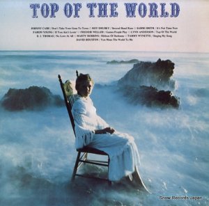 V/A - top of the world - P18062