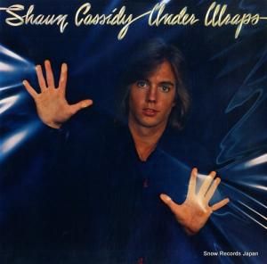 硼󡦥㥷ǥ ɸε P-10553W