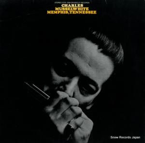 㡼륺ޥåۥ磻 memphis, tennessee CCR1008