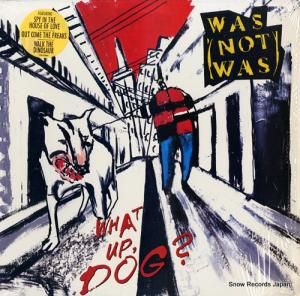 Υåȡ what up, dog? OV41664