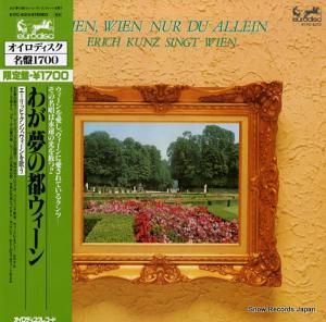 åҡ 郎̴ԥ󡿥Τ K17C-9313