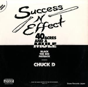 SUCCESS-N-EFFECT 40 acres and a mule 12-PO140