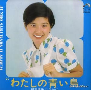 Ľ߻ 錄ĤĻiiХ SJX-146