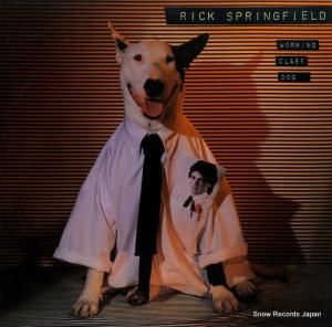 åץ󥰥ե working class dog AFL1-3697