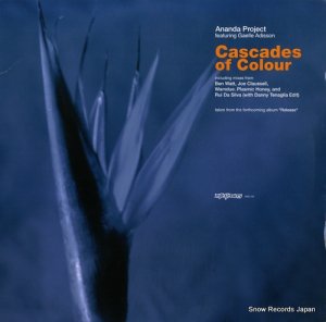 ʥץ cascades of colour KNG120