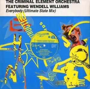 ߥʥ롦ȡȥ everybody (ultimate state mix) PT44074