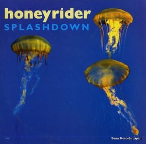 ϥˡ饤 splashdown DAMGOOD177-LP