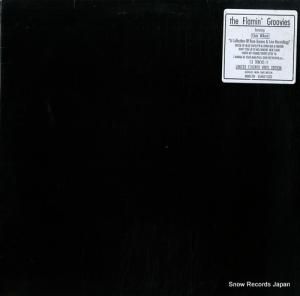 ե쥤ߥ󡦥롼 a collection of rare demos & live recordings USMLP1020