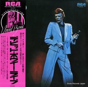 ǥӥåɡܥ 饤 RCA-9105-06