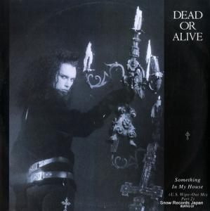 ǥåɡ饤 something in my house BURNSQ1