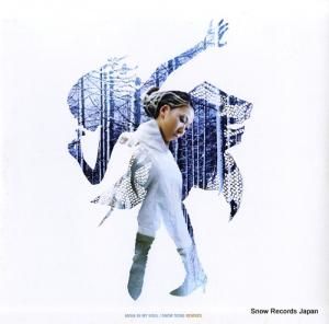 ߡ in my soul / snow song remix RXJT-21042