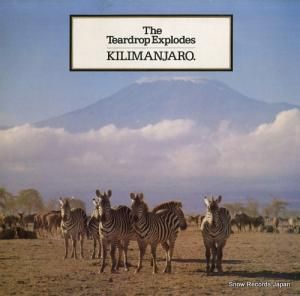 ƥɥåסץ kilimanjaro PRICE59