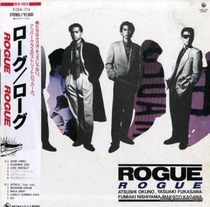  rogue K28A-719