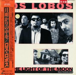 ���������ܥ� ������������ L28P1249