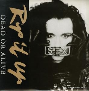 ǥåɡ饤 rip it up QY.3P-90105