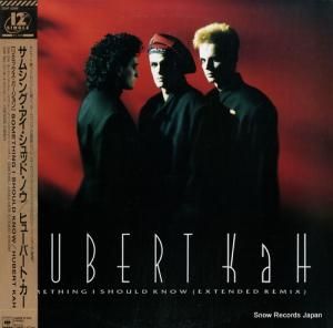 ҥ塼Сȡ ॷ󥰡åɡΥ 12AP3289