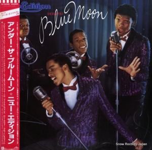 ˥塼ǥ ֥롼ࡼ P-13435