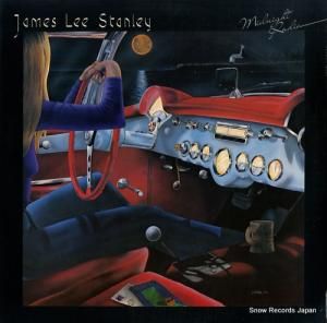 ॺ꡼꡼ midnight radio RY9600