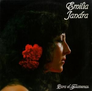 ߥꥢɥ para el flamenco PSD-2026