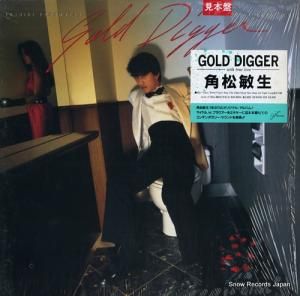 Ѿ gold digger RAL-8824