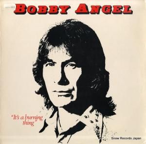 ܥӡ󥸥 it's a burning thing PLC5021