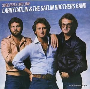 ꡼ȥȥ󡦥֥饶 sure feels like love FC38135