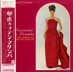 ٥åޥСȥꥪ ̥ǤΥƥ󡦥ޥ YS-595-JC