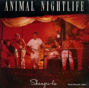 アニマル・ナイトライフ shangri-la ILPS9830