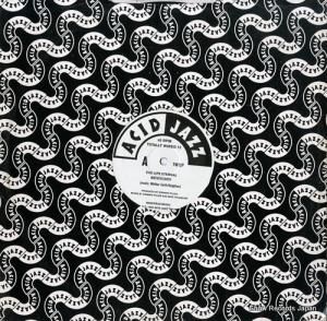 V/A totally wired 12 TW12P