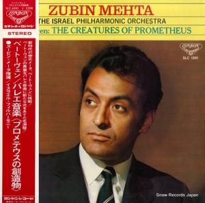 ӥ󡦥᡼ ١ȡ󡧥Х쥨ڡ֥ץƥ¤ʪ SLC1891