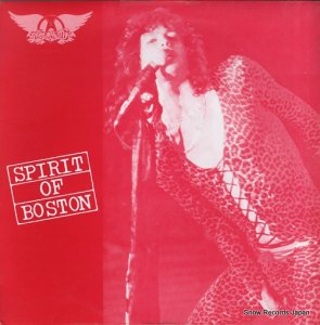 ߥ spirit of boston VM-2637