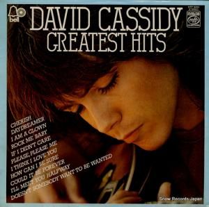 ǥӥåɡ㥷ǥ greatest hits MFP50324