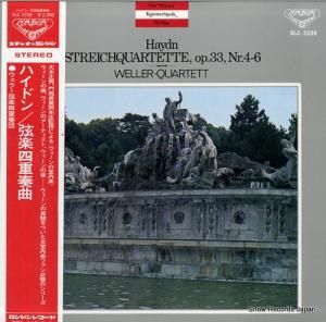 顼ڻͽ ϥɥ󡧸ڻͽնʡʣ裴裶 SLC2258