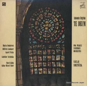 ĥա᥿ 쥤ϡơǥ VIC-2031