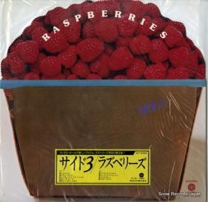 饺٥꡼ ɣ ECP-9036X