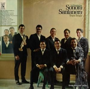 Υ顦ޥ󥻥 tropic tempo CYS1086