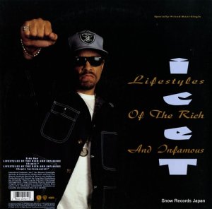 ICE-T lifestyles of the rich and infamous 40161-0
