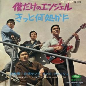 ⸭ ͤΥ󥸥 TP-1440