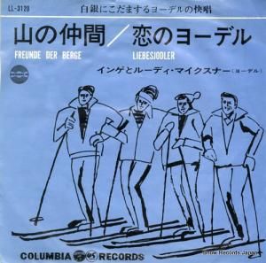 󥲤ȥ롼ǥޥʡ  LL-3120