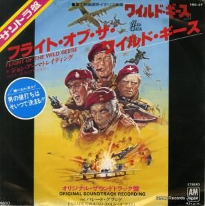 硼󡦥ޥȥ쥤ǥ ե饤ȡ֡磻ɡ FMS-69